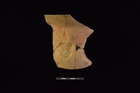 陶罐藏品圖，第1張